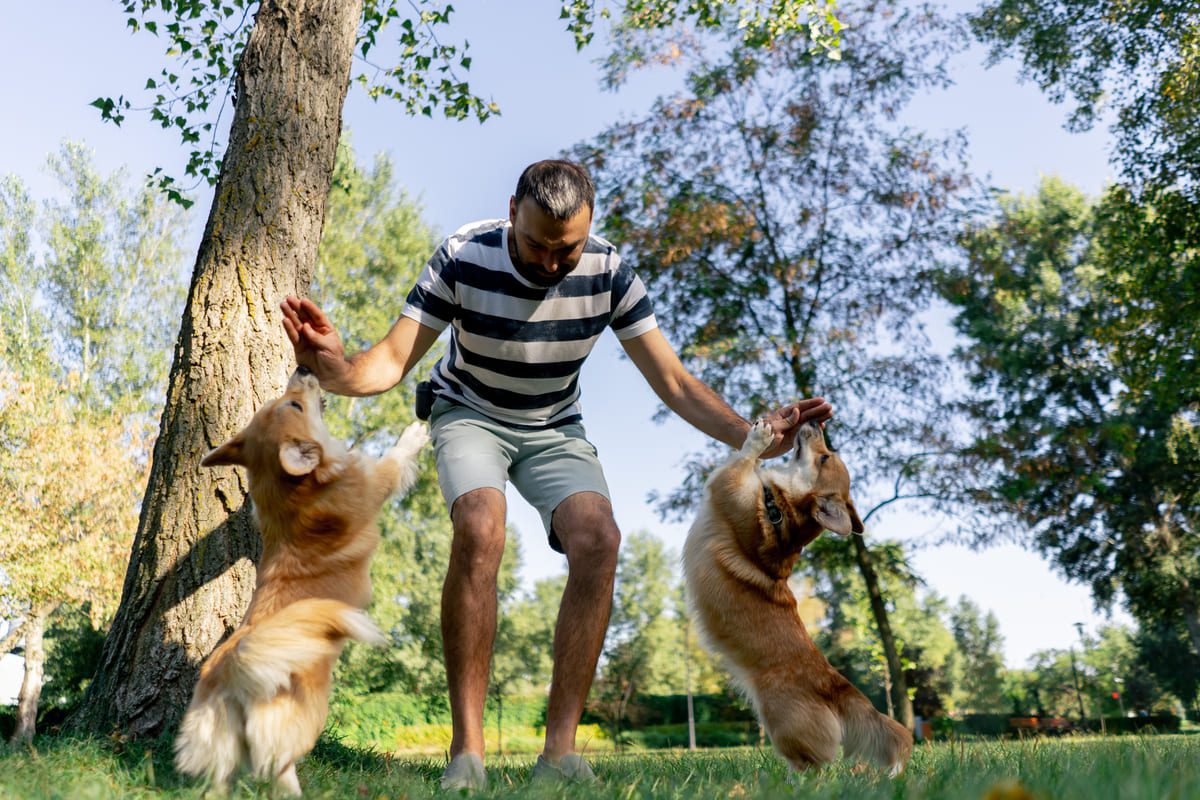 Imagen destacada de “La importancia del vínculo emocional entre el adiestrador y el perro”