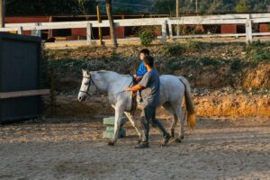 Imagen destacada de “Cómo adaptar una sesión de equinoterapia a personas con movilidad reducida”
