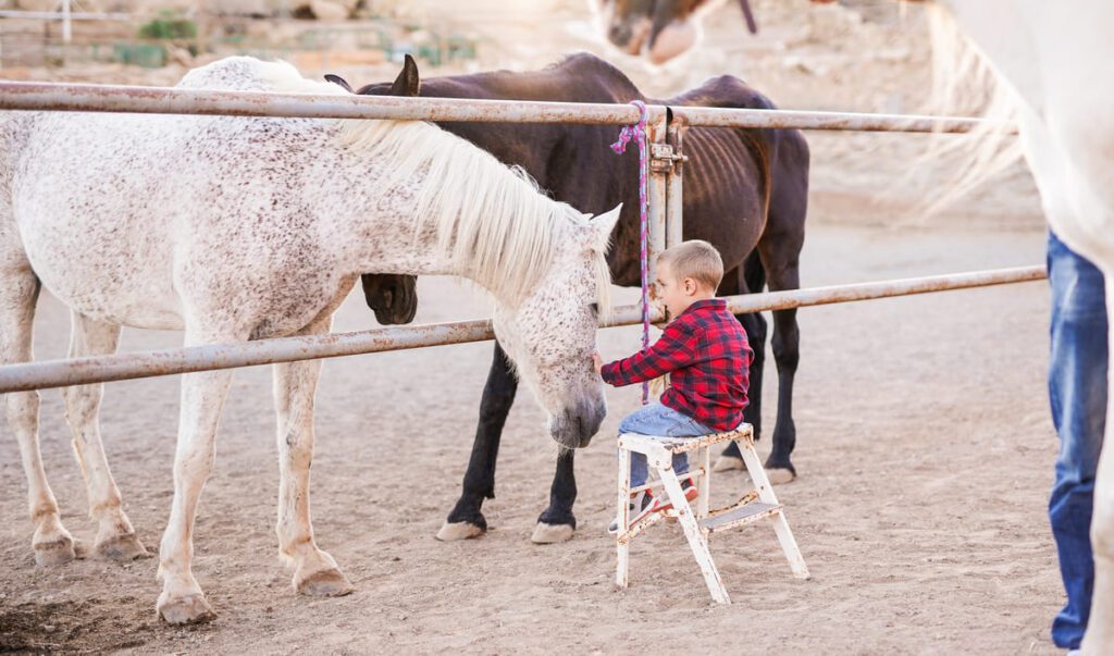 Adaptación de programas de Equinoterapia infantil principios fundamentales