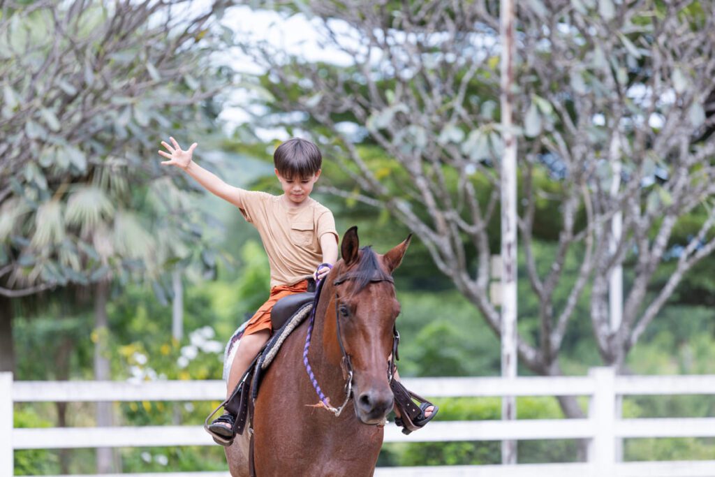 Estructura de una sesión de Equinoterapia infantil