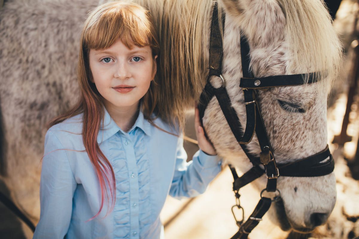 Imagen destacada de “Indicadores de progreso en intervenciones asistidas con caballos”