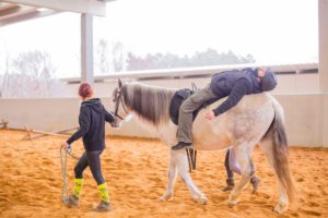 Imagen destacada de “Intervención asistida con caballos en personas con diversidad funcional”