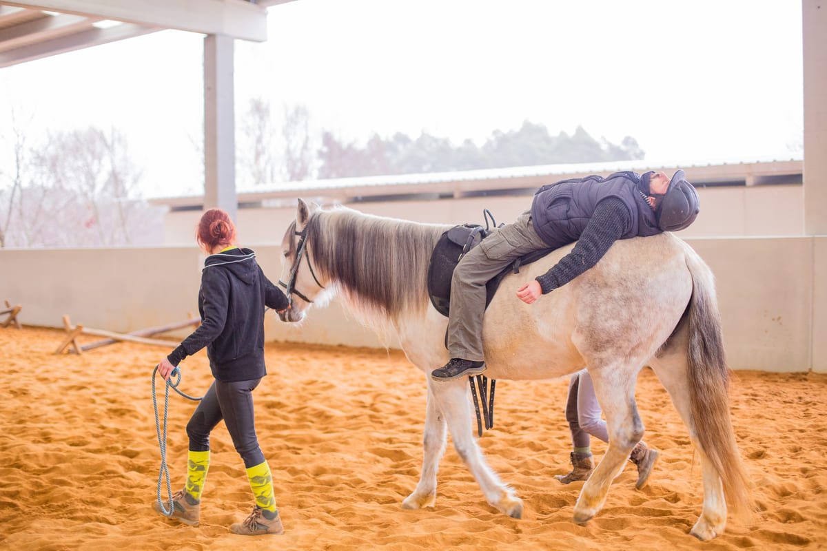Imagen destacada de “Intervención asistida con caballos en personas con diversidad funcional”
