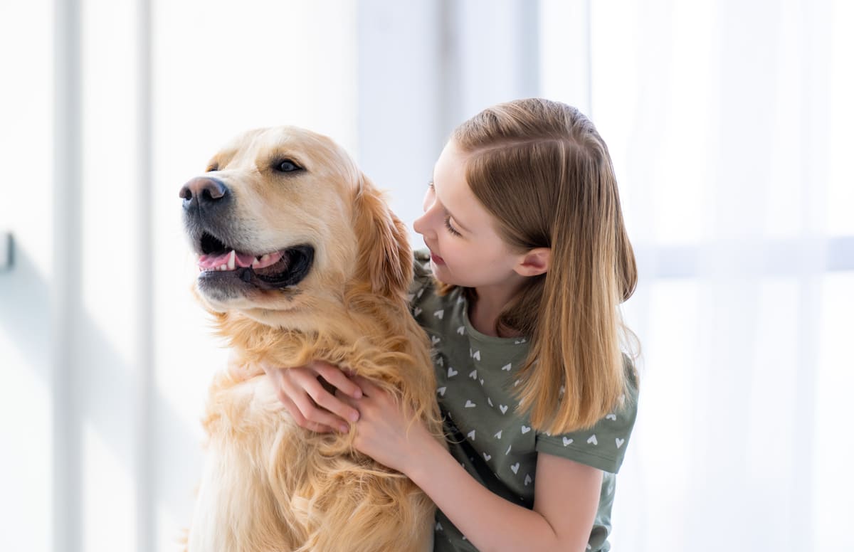 Imagen destacada de “Los 10 problemas de conducta en perros más comunes”