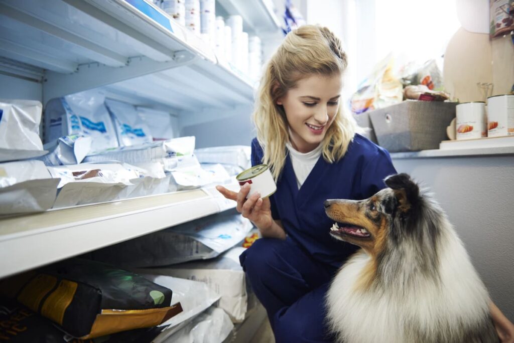 Funciones de un auxiliar de veterinaria respecto a esos cuidados básicos. Animales de compañía