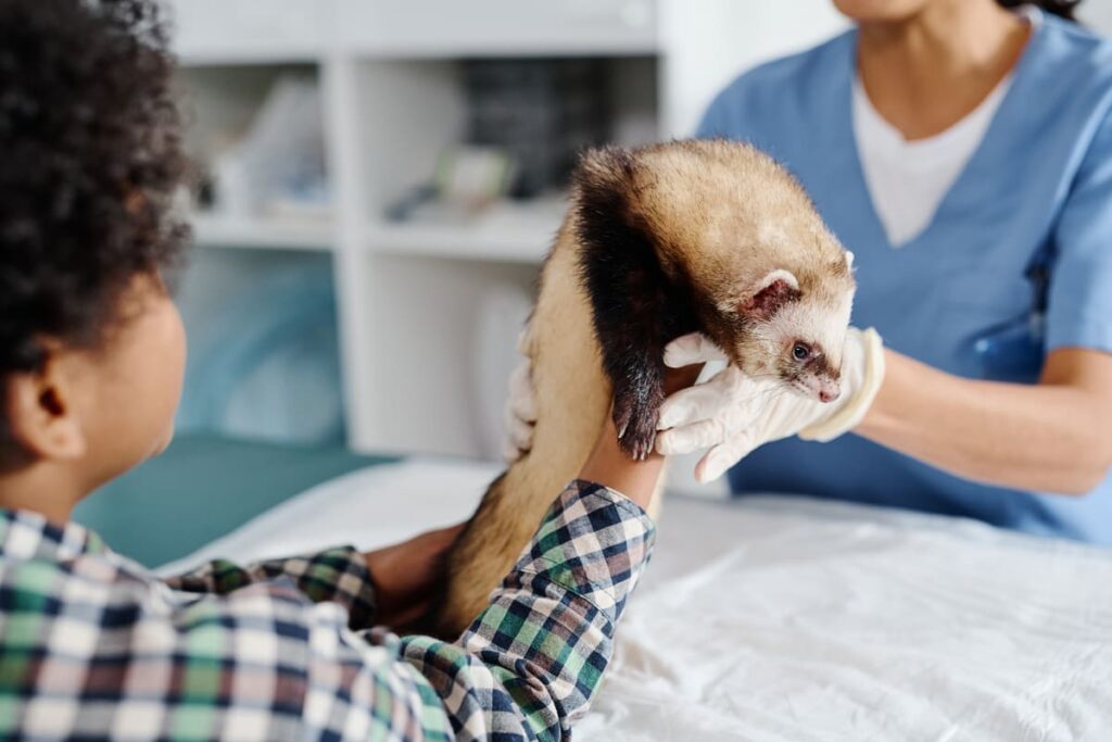 Casos de éxito en la rehabilitación de animales salvajes en zoológicos