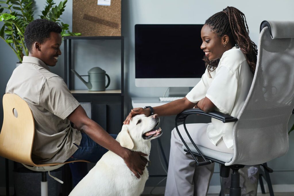 Certificación y pruebas para perros de terapia