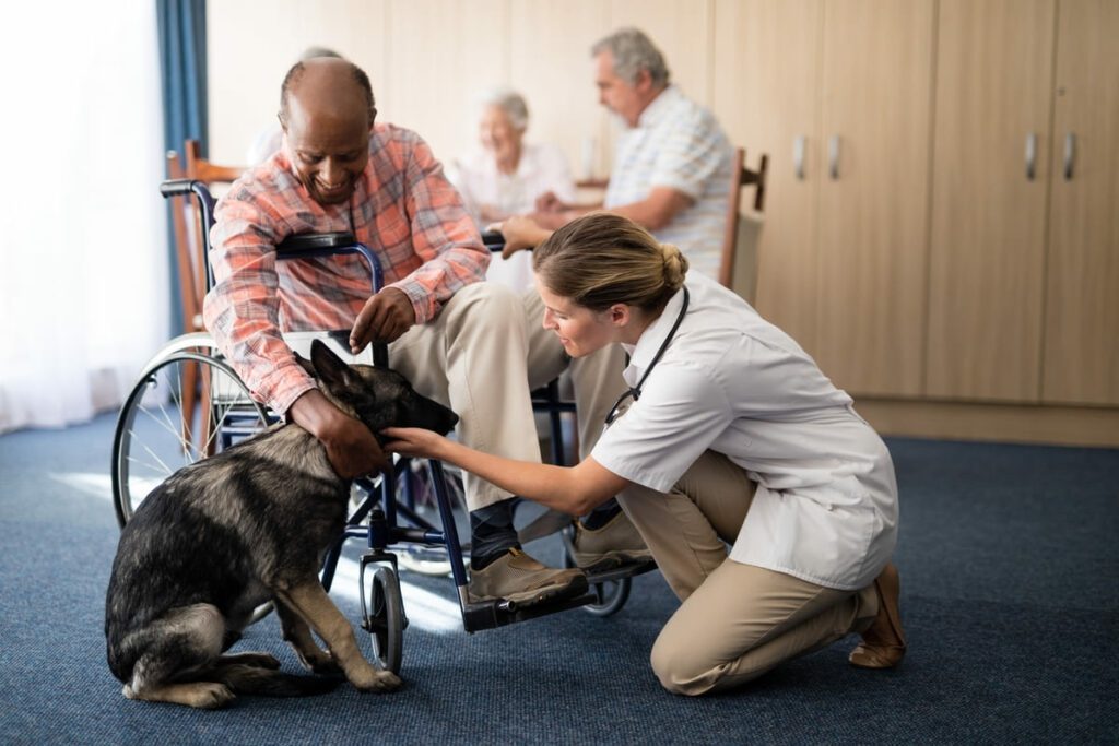 Preparar a tu perro para trabajar en terapias asistidas: Entrenamiento básico y avanzado