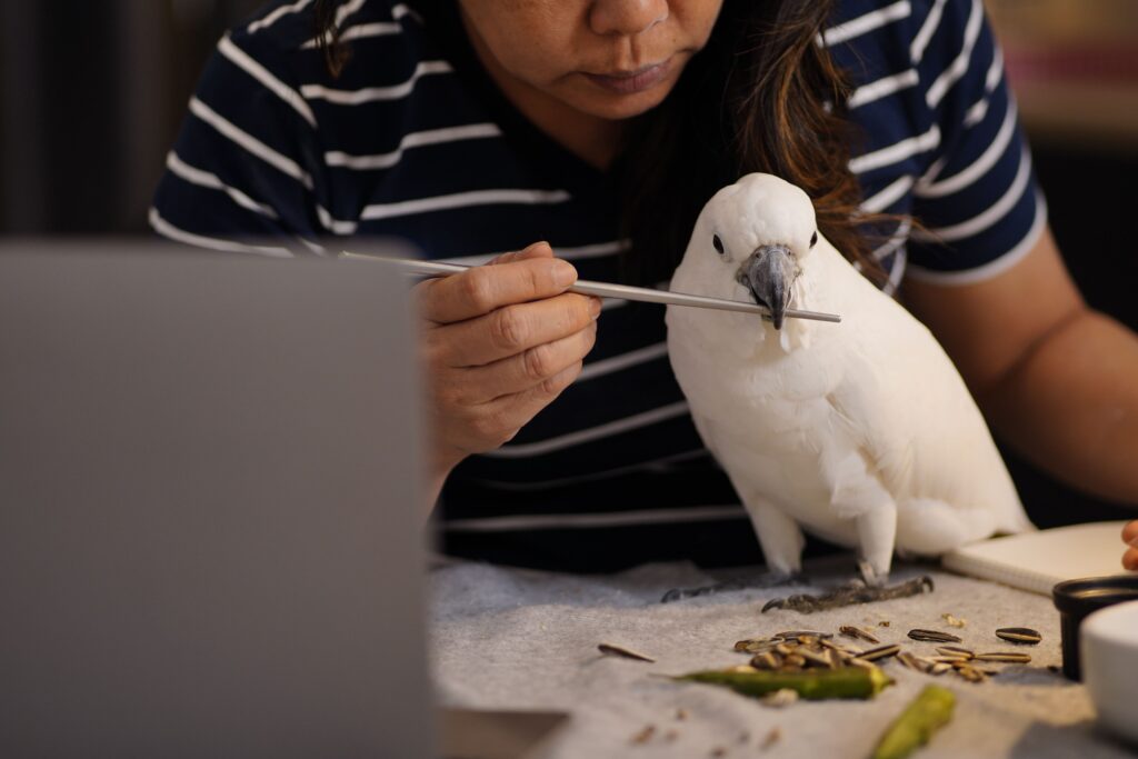 La importancia de la nutrición especializada en animales exóticos: claves para una dieta balanceada: Conocer las necesidades nutricionales específicas