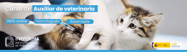 Curso de Auxiliar de veterinaria