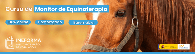 Curso de Monitor de Equinoterapia
