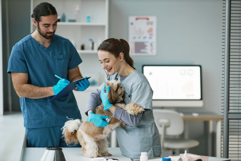 Funciones de un auxiliar de veterinaria