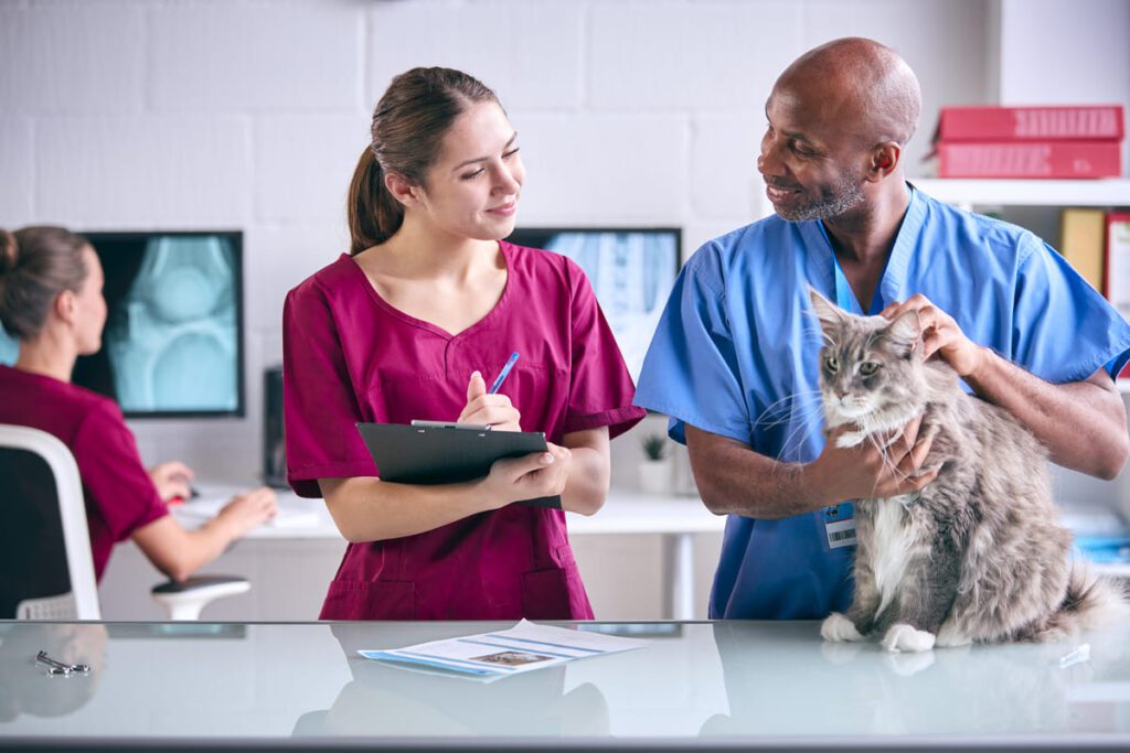 ¿Qué se necesita para ser auxiliar de veterinaria?