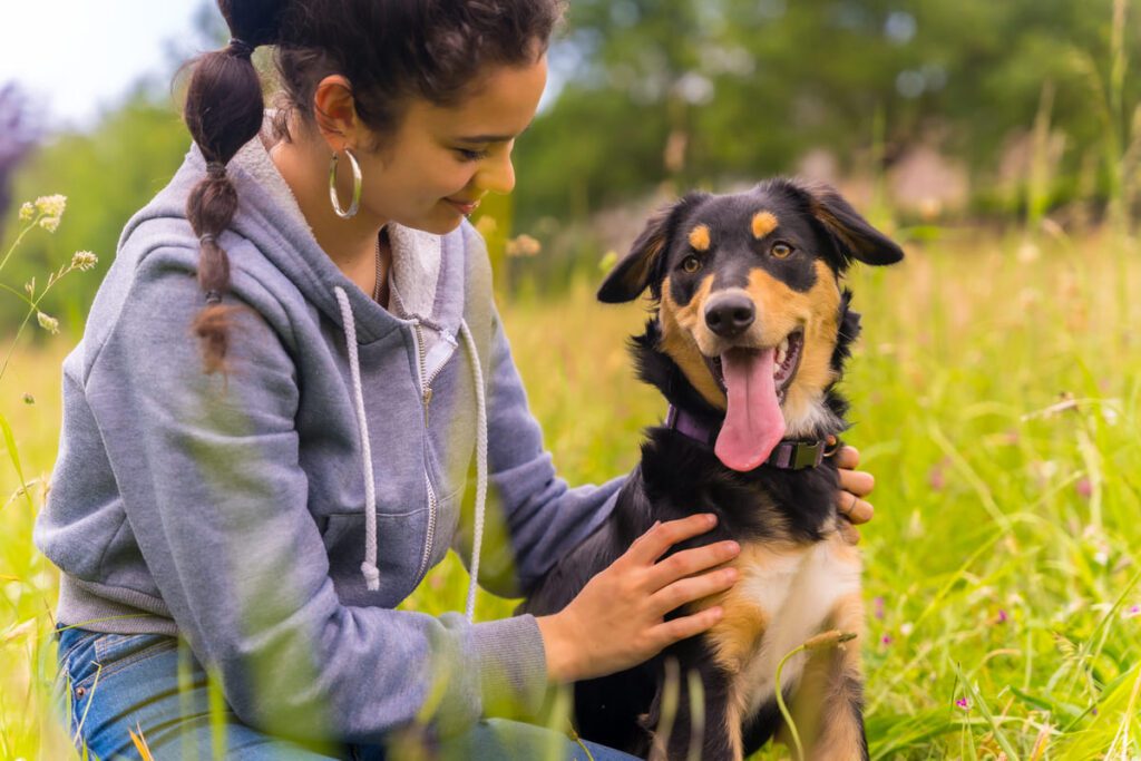 Etapas del adiestramiento de un perro: Etapa juvenil