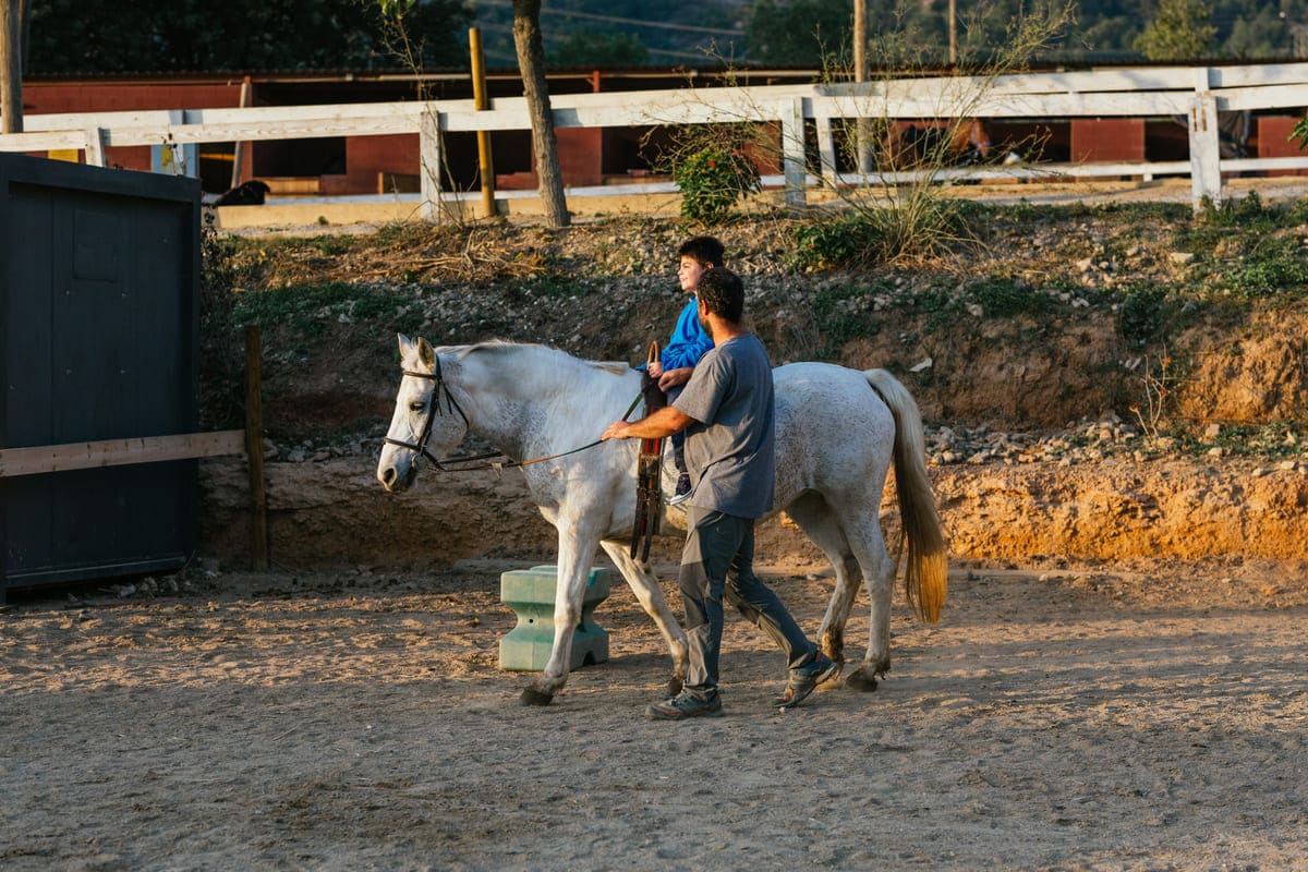 Imagen destacada de “Cómo adaptar una sesión de equinoterapia a personas con movilidad reducida”