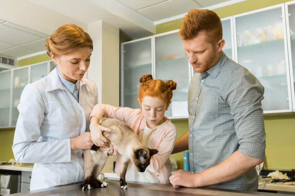 Estrategias para mejorar la atención al cliente en clínicas veterinarias