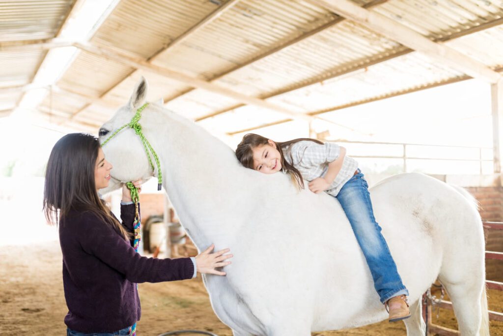 Perfil profesional del monitor de equinoterapia