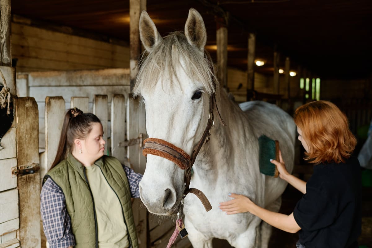 Imagen destacada de “Qué hace un monitor de equinoterapia: funciones y perfil profesional”